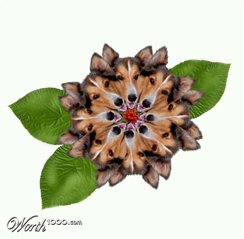 Photoshop Design by Sharlight