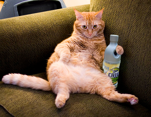 Design Photoshop par GutsAndGlory pour DesignCrowd (Community Contests) | Design #8967817