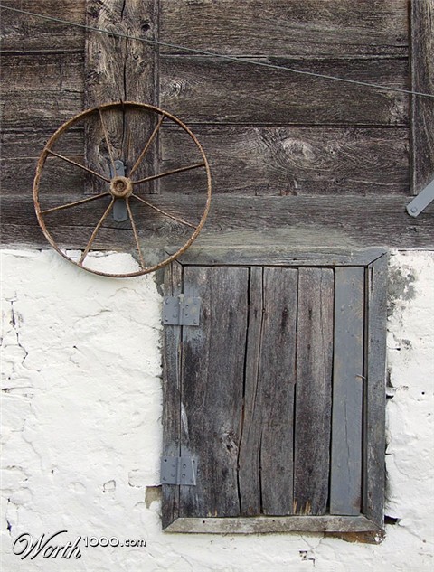 Photography by milicamica