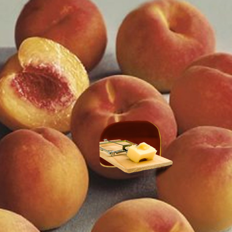 Design Photoshop par BlueHeron pour DesignCrowd (Community Contests) | Design #8967231