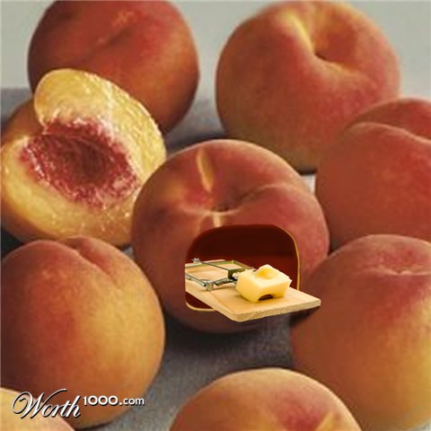 Photoshop Design by BlueHeron