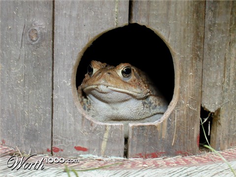 Photoshop Design by falcon9