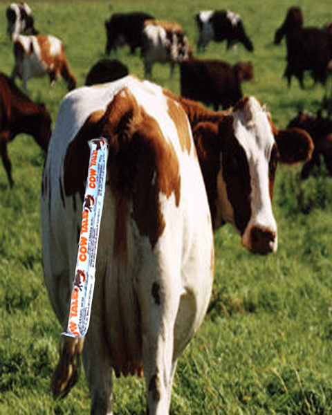 Diseño de Photoshop por totallyartistic para DesignCrowd (Community Contests) | Diseño #8967227