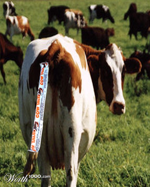 Photoshop Design by totallyartistic