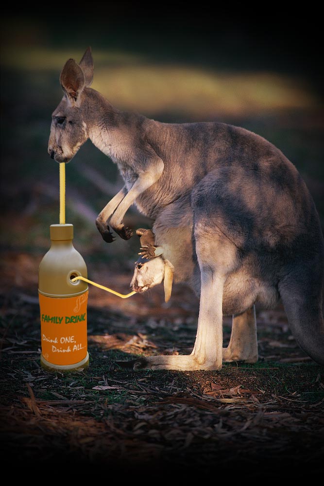 Photoshop Design by mandark123 for DesignCrowd (Community Contests) | Design #8967892