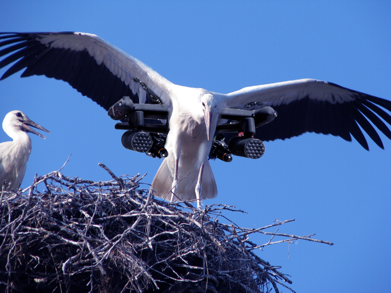 Photoshop-Design von rightfriend für DesignCrowd (Community Contests) | Design #8967515