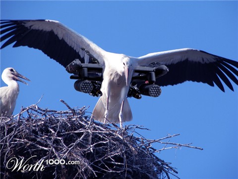 Photoshop Design by rightfriend