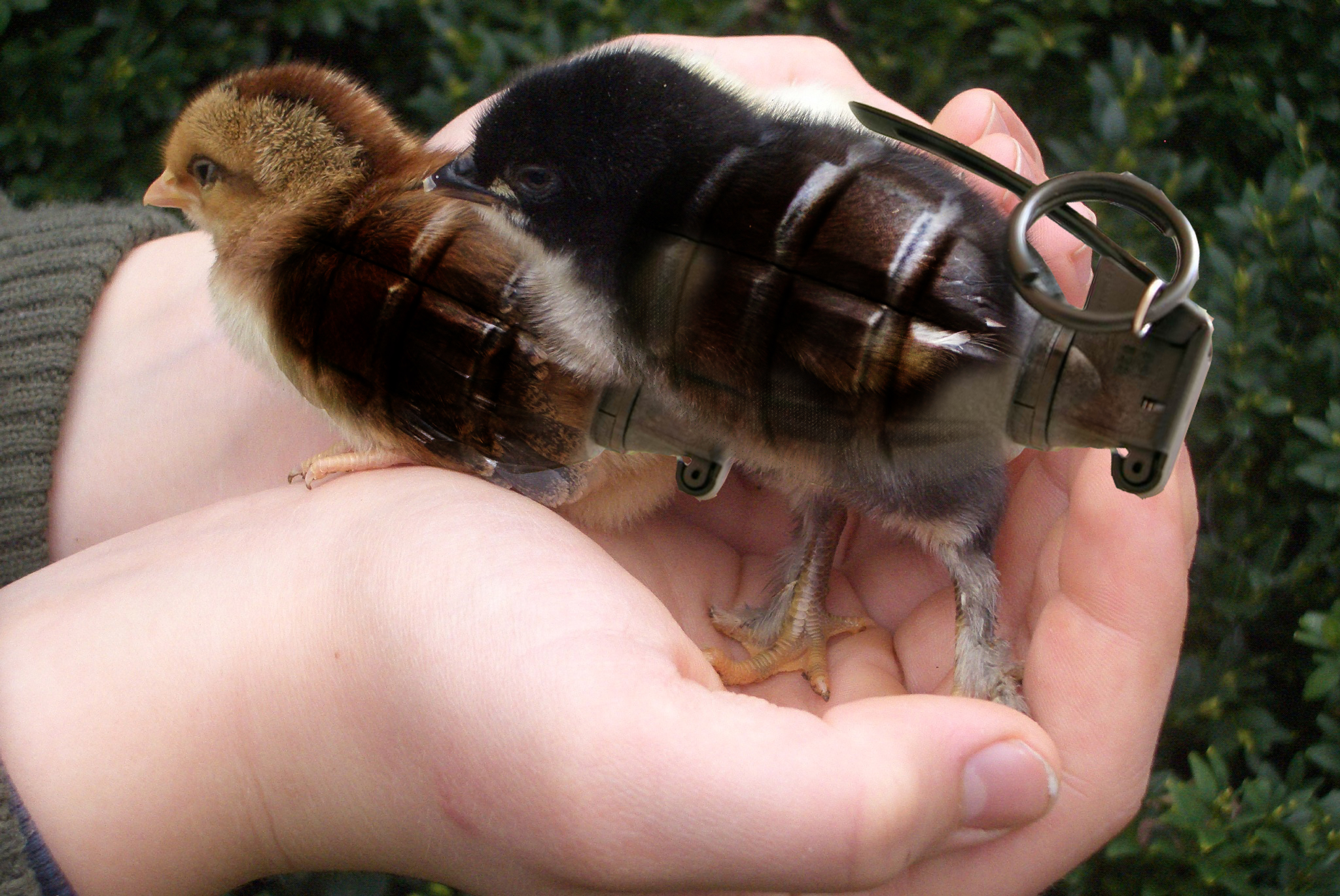 Design Photoshop par Eszettschnitte pour DesignCrowd (Community Contests) | Design #8967540