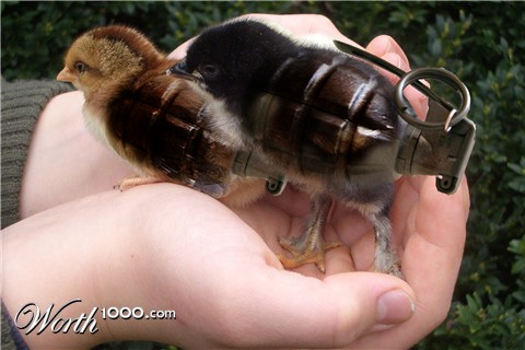 Photoshop Design by Eszettschnitte