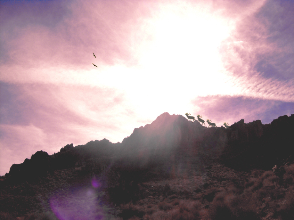 Photoshop-Design von kathiess für DesignCrowd (Community Contests) | Design #8967940