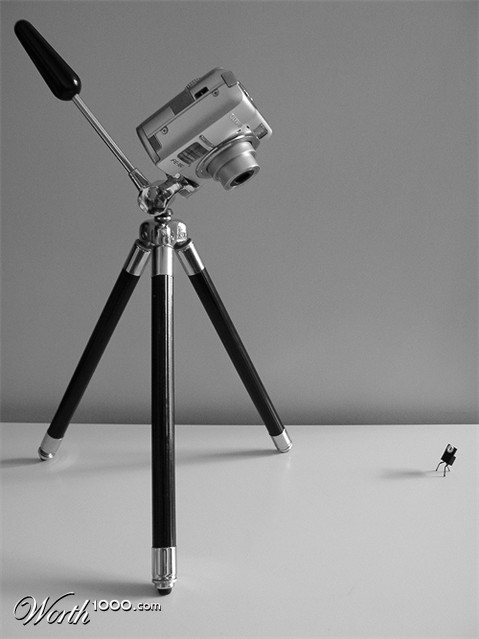 Photography by amirbse