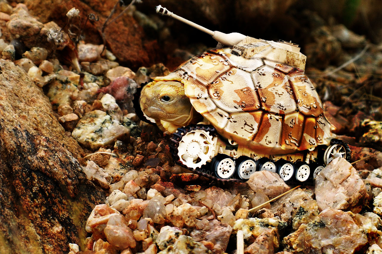 Photoshop Design by merrypranxter for DesignCrowd (Community Contests) | Design #8967603