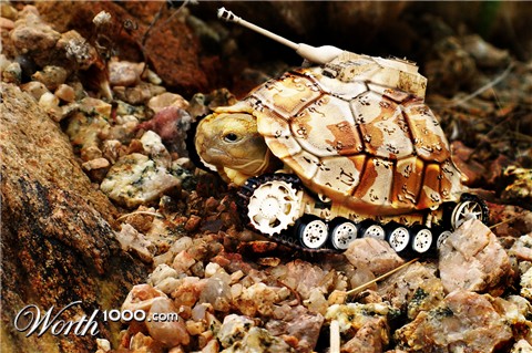 Photoshop Design by merrypranxter