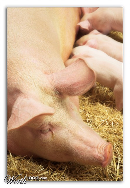 Photography by kimbomac