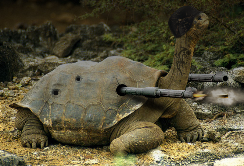 Photoshop Design by Banks42 for DesignCrowd (Community Contests) | Design #8967583