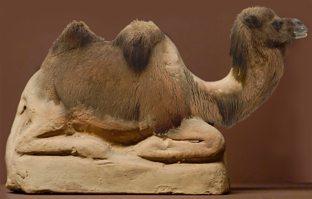 Design Photoshop par willibarb pour DesignCrowd (Community Contests) | Design #8965665