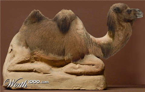 Photoshop Design by willibarb