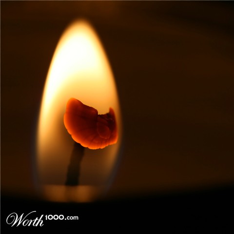 Photography by Rouwkema