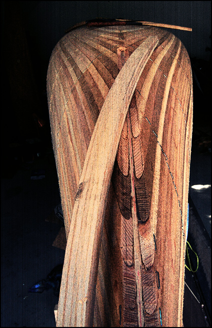 Fotografía por kmactavi para DesignCrowd (Community Contests) | Diseño #8964485