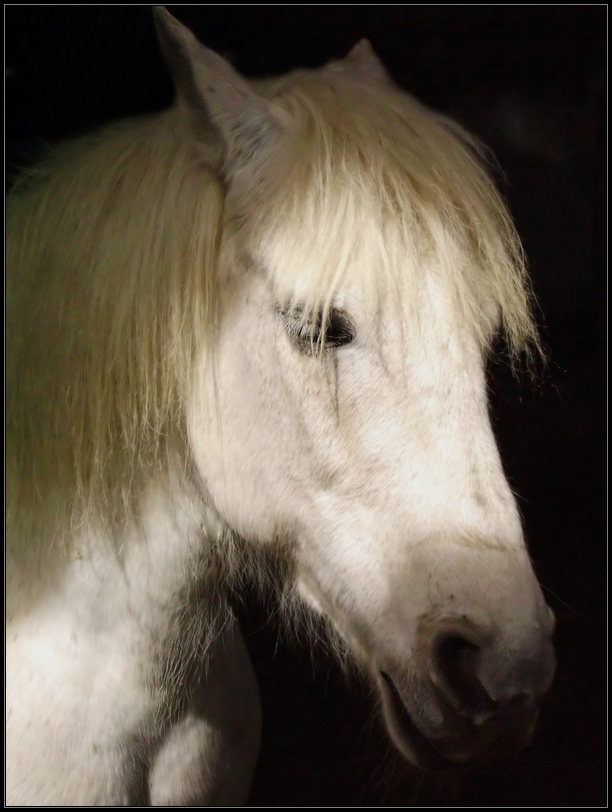 Photographie par IsleofJura pour DesignCrowd (Community Contests) | Design #8970119