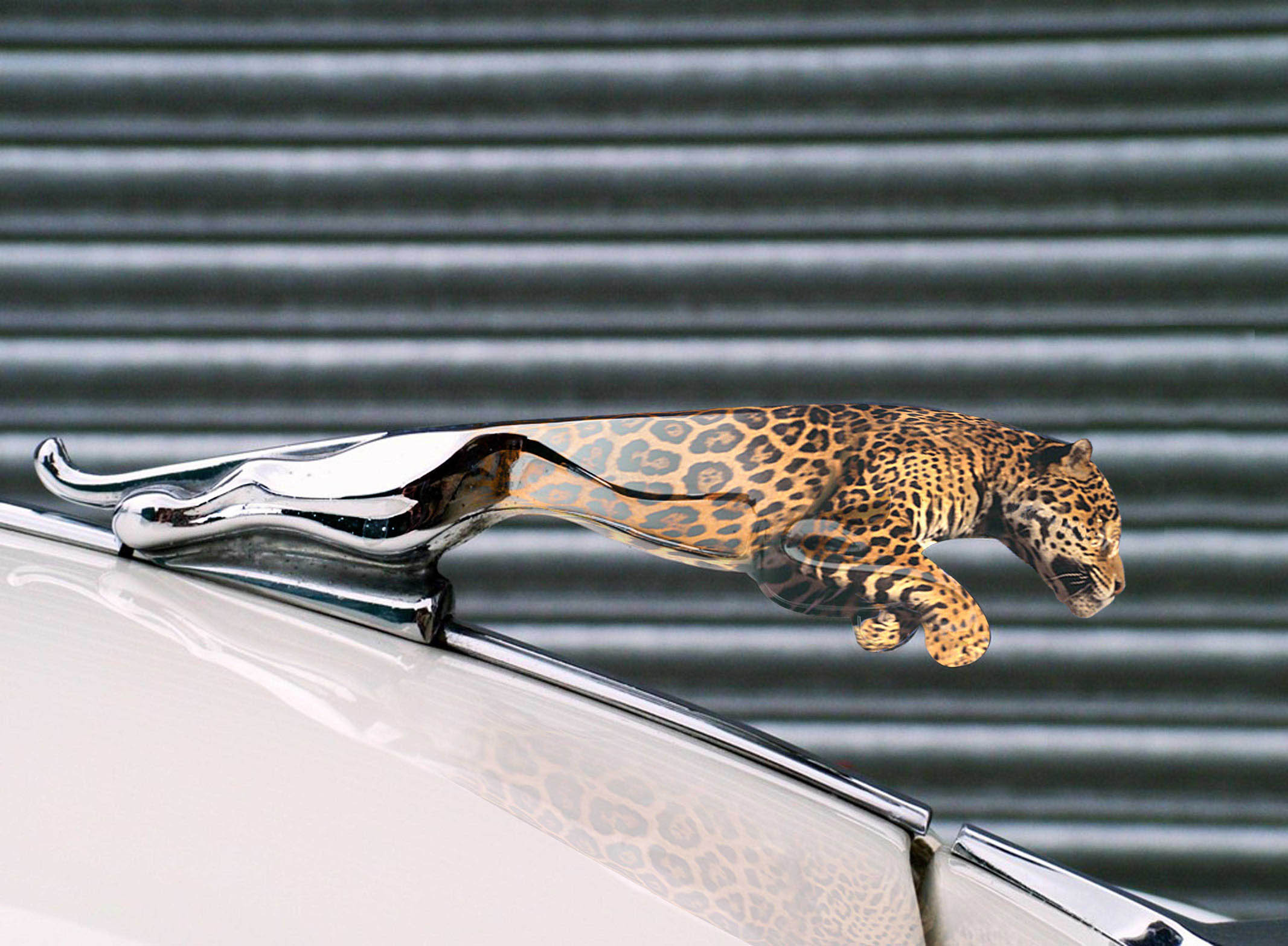 Photoshop Design by mandark123 for DesignCrowd (Community Contests) | Design #8965758