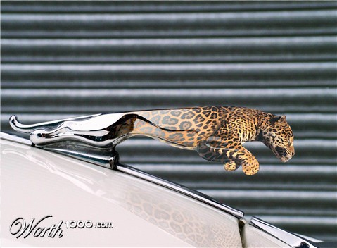 Photoshop Design by mandark123