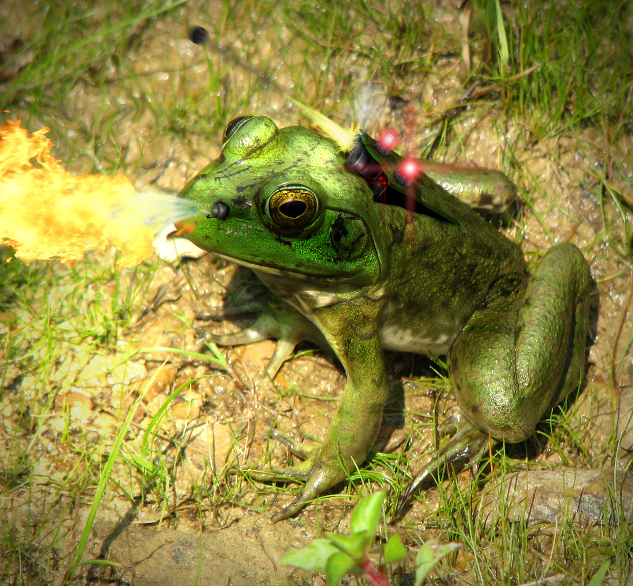 Diseño de Photoshop por EphexDesign para DesignCrowd (Community Contests) | Diseño #8967680