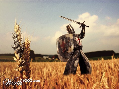 Photoshop Design by maurilop