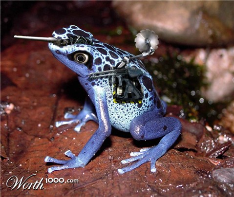 Photoshop Design by pierrX