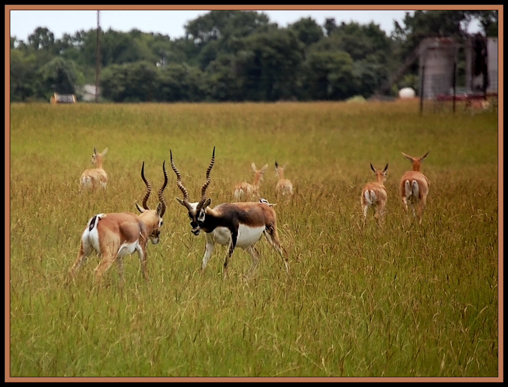 Photographie par learn2swim96 pour DesignCrowd (Community Contests) | Design #8970158