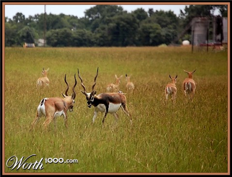 Photography by learn2swim96