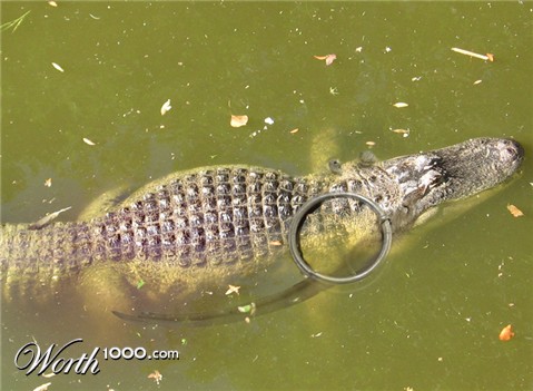 Photoshop Design by Mushon