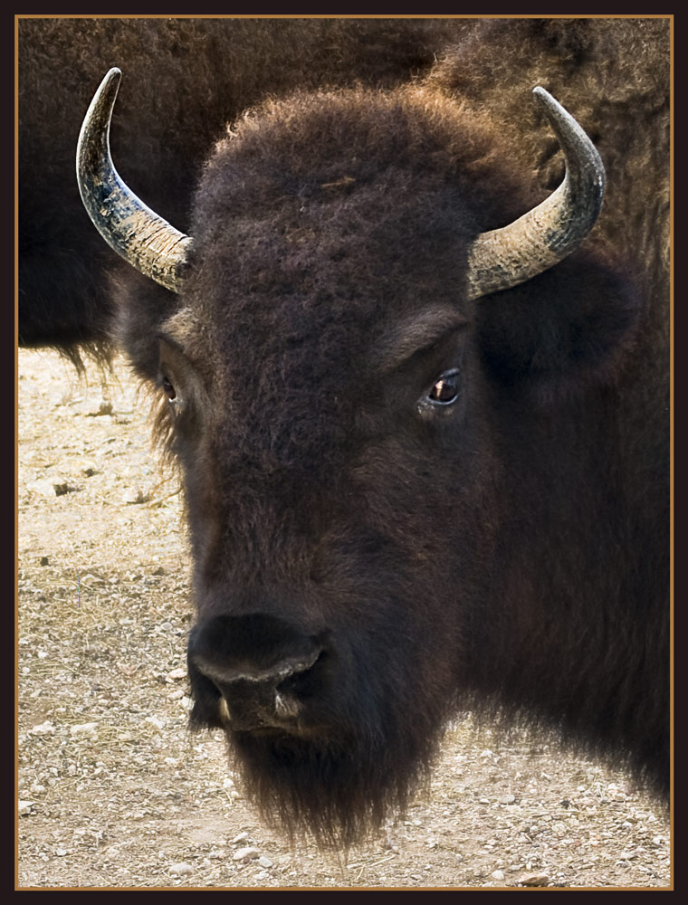 Photographie par GoldenWreckedAngle pour DesignCrowd (Community Contests) | Design #8970150