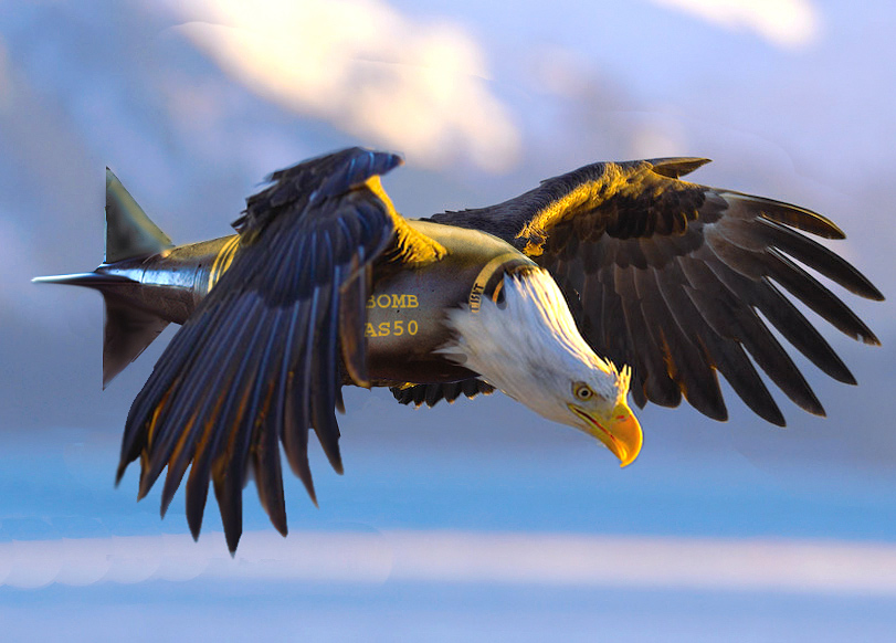 Photoshop Design by Mandrak for DesignCrowd (Community Contests) | Design #8967773