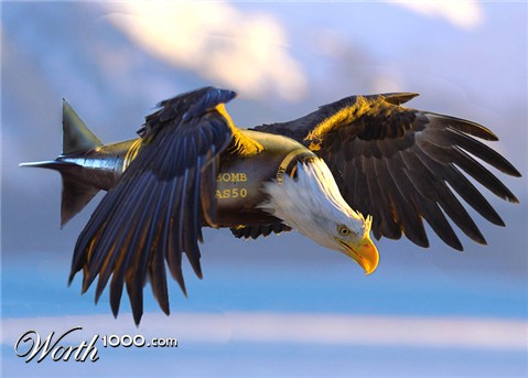 Photoshop Design by Mandrak