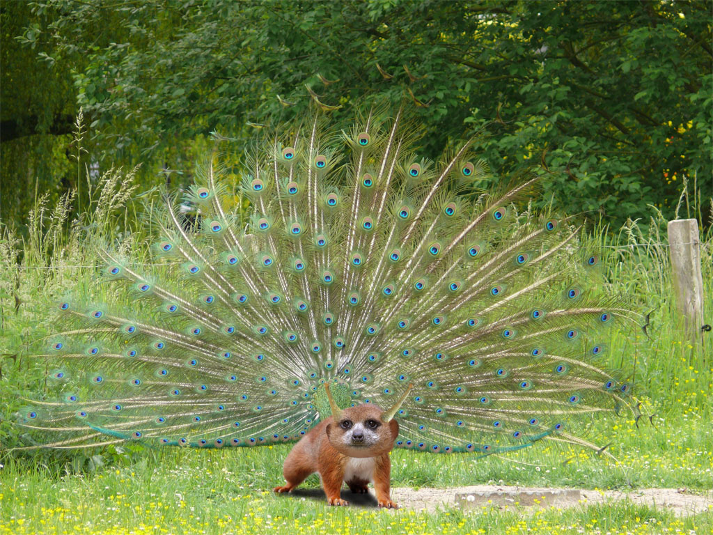 Design Photoshop par ChainsawCharlie pour DesignCrowd (Community Contests) | Design #8970049