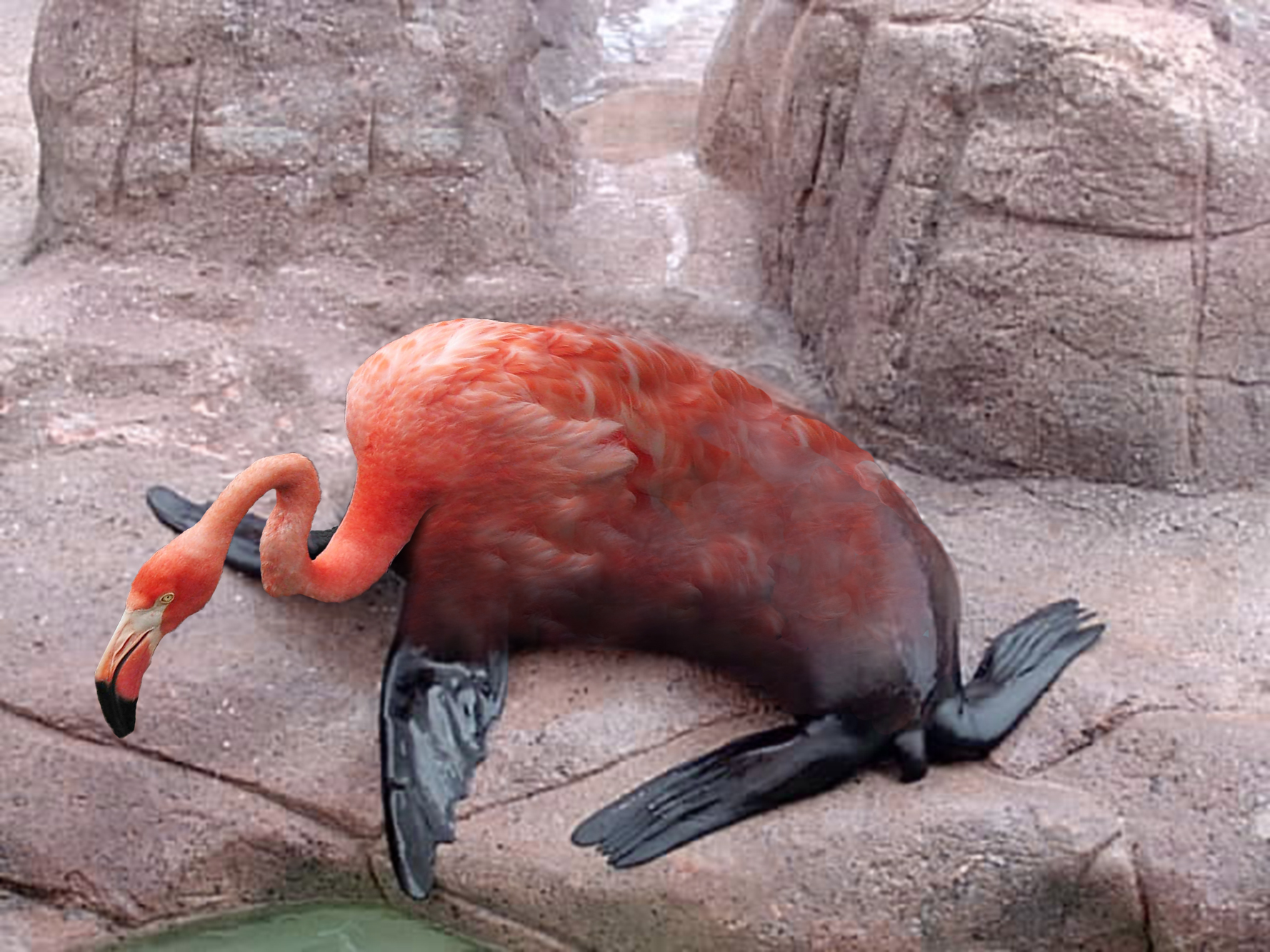 Photoshop Design by timmyotoole for DesignCrowd (Community Contests) | Design #8970068