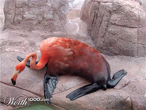 Photoshop Design by timmyotoole