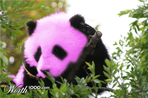 Photoshop Design by Junnoir