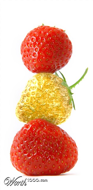 Photoshop Design by linnylou1965