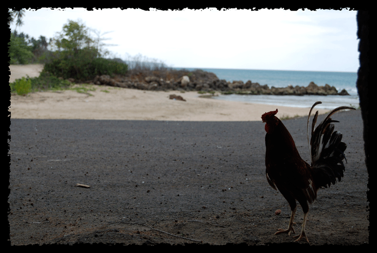 Photography by sapvega for DesignCrowd (Community Contests) | Design #8970154