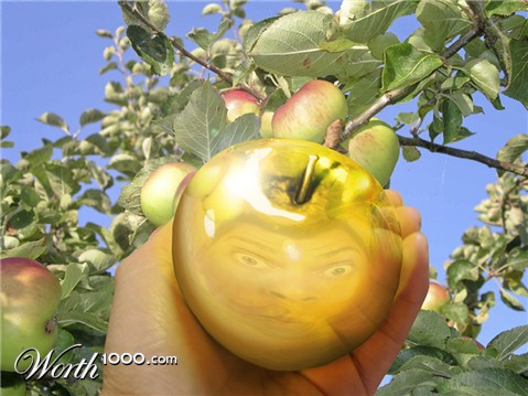 Photoshop Design by Bartman
