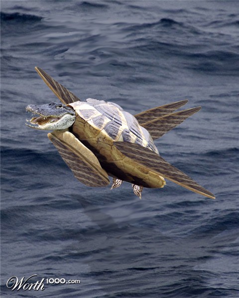 Photoshop Design by BlueHeron