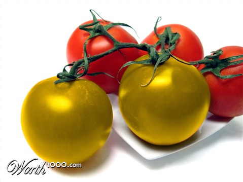 Photoshop Design by lucimine