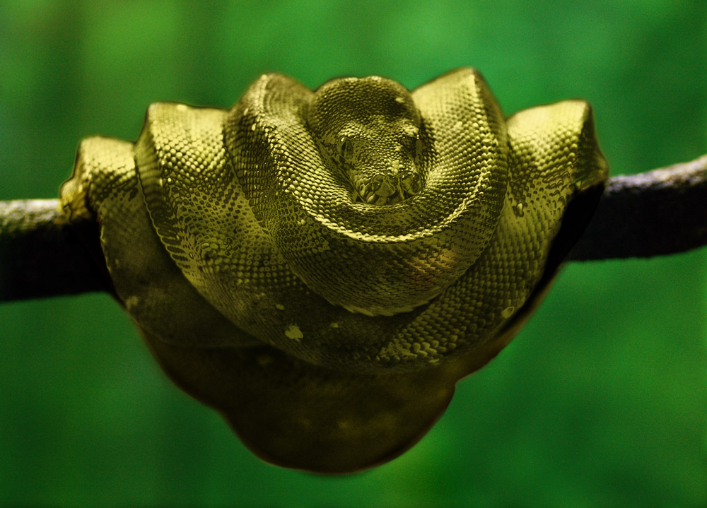 Photoshop-Design von robotlick für DesignCrowd (Community Contests) | Design #8967676