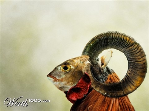 Photoshop Design by aguarachar