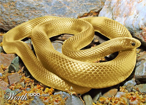 Photoshop Design by Mandrak