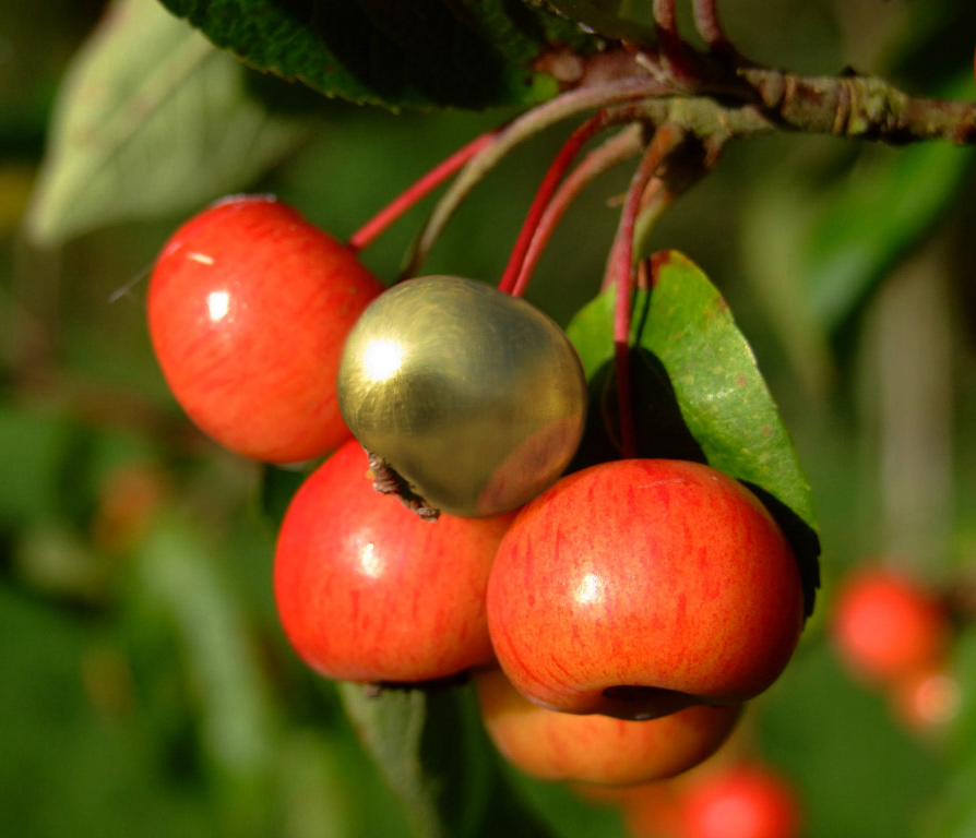 Design Photoshop par YearoftheDragon pour DesignCrowd (Community Contests) | Design #8967776