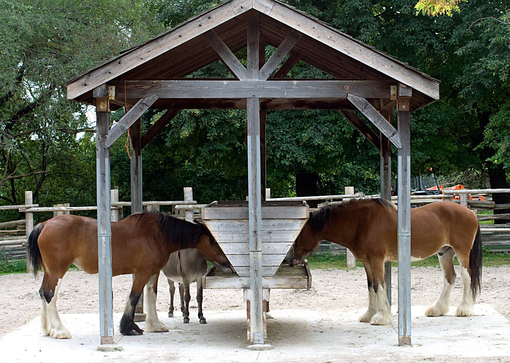 Fotografía por digiteyes para DesignCrowd (Community Contests) | Diseño #8970061