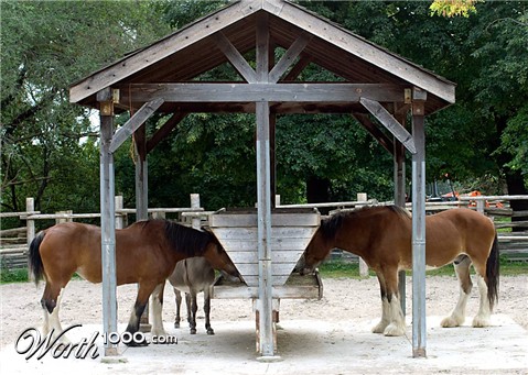 Photography by digiteyes